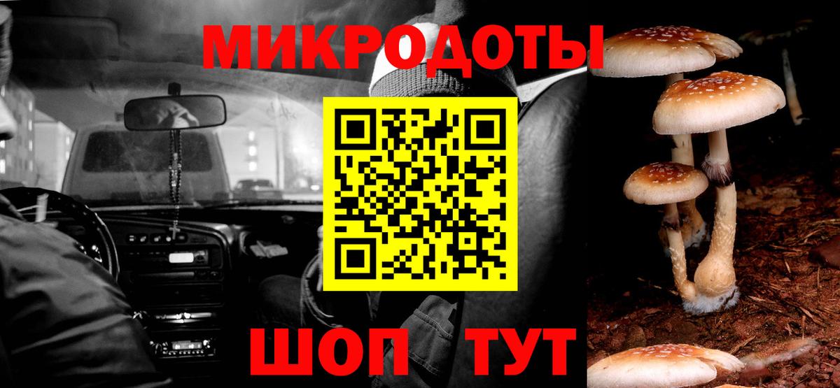 Псилоцибиновые грибы мухоморы  Галлюциногенные грибы ЛСД  Конаково  где купить наркотик  Вход с VPN 