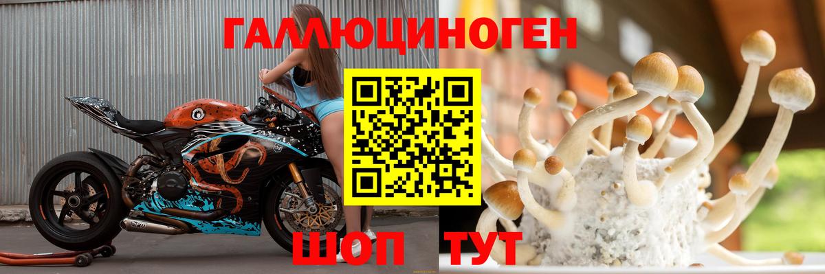 Псилоцибиновые грибы MAGIC MUSHROOMS Конаково